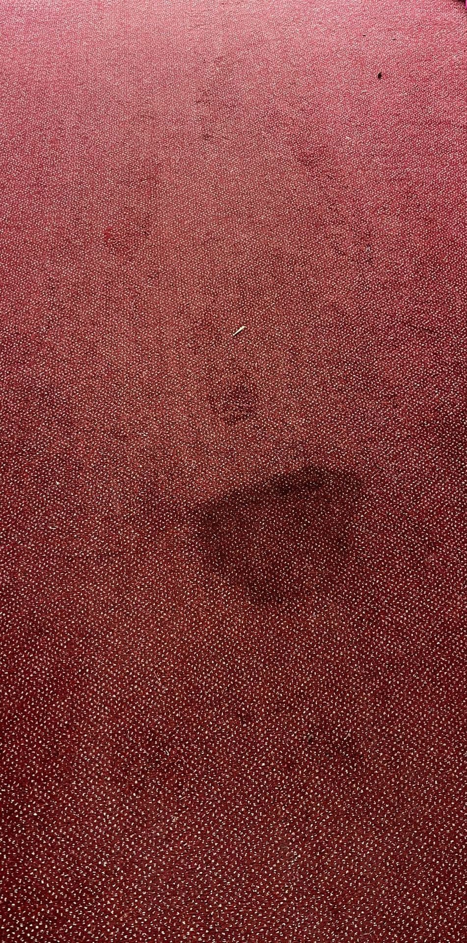 Flooring before professional cleaning